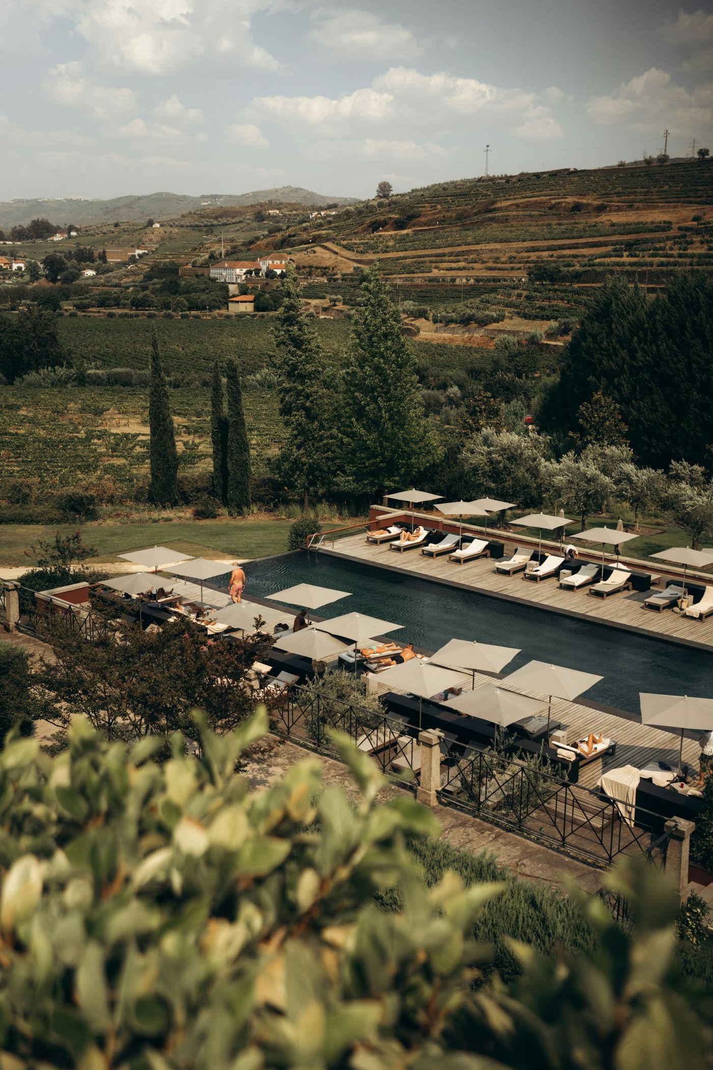 A long hotel pool lined with parasols and sunbeds, set among cypress trees and terraced vineyards